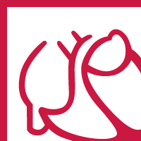 Deutsche Gesellschaft für Kardiologie