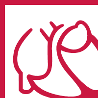 Deutsche Gesellschaft für Kardiologie